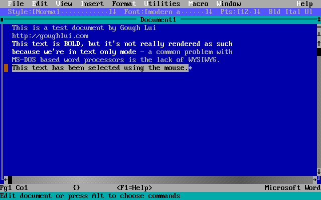 Word 5.5 (DOS)